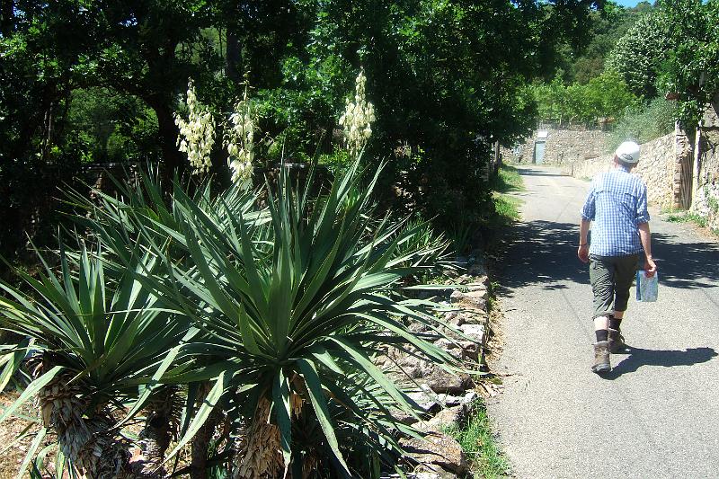 2011-05- (1754).JPG